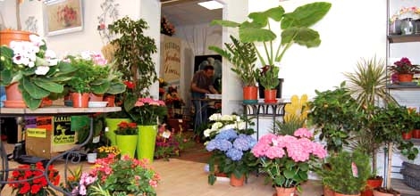 Boutique de fleurs à Felletin